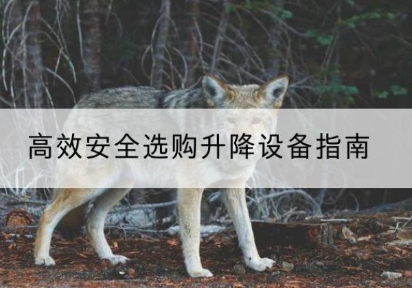 莱阳升降货梯厂家推荐-*安全选购升降设备指南