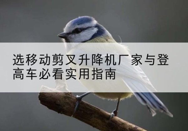 莱阳电动升降机厂家-选移动剪叉升降机厂家与登高车必看实用指南