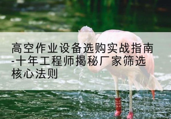 莱阳剪叉式升降机厂家-高空作业设备选购实战指南-十年工程师揭秘厂家筛选核心法则